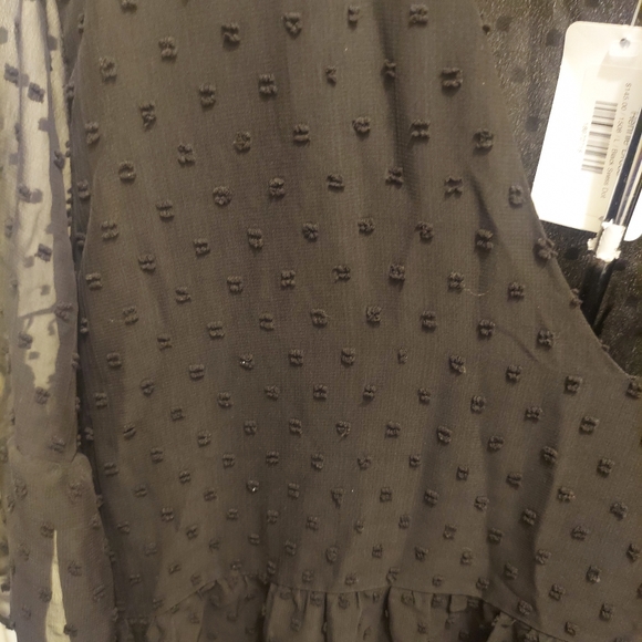 ! Park & Fifth Rennie Dress. Black Swiss dot. Large . Nwt - Picture 2 of 7